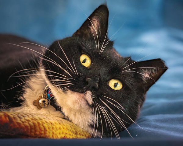 How Will Recent Financial Trends Affect the Future of Real Estate in the UK?